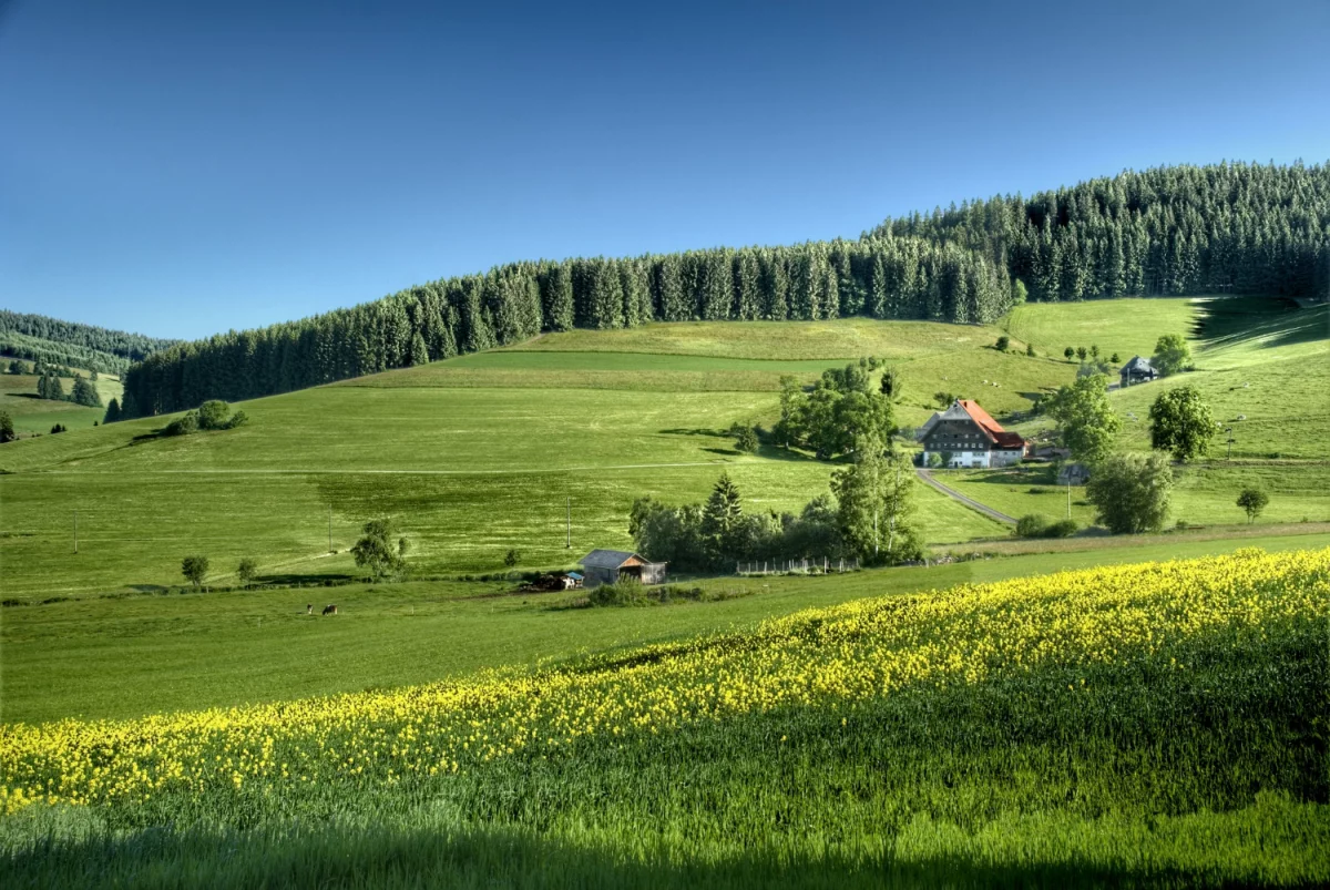 Ratunkowa usługa klimatyzacji 24/7 w Pruszkowie i okolicach — kiedy dzwonić?