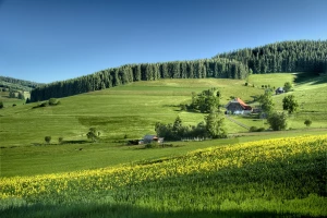 Ratunkowa usługa klimatyzacji 24/7 w Pruszkowie i okolicach — kiedy dzwonić?